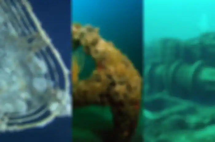 Kapal yang karam selalu identik dengan kisah Titanic, ternyata selain itu, ada 5 kapal luar biasa lain yang berakhir sebagai kuburan air.