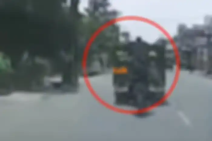 Kawanan bajing loncat beraksi di Jalan Pancing, Medan Sumatera Utara.