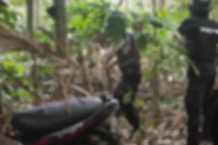 Tim Cobra Polres Lumajang temukan 4 motor di kebun kopi.