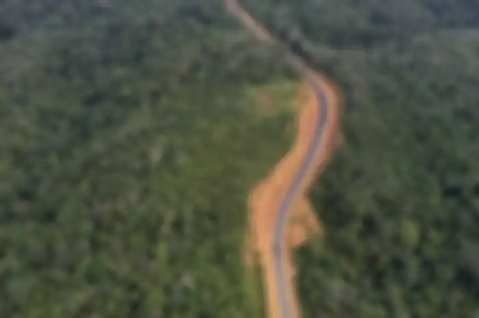 Foto udara kawasan Bukit Nyuling, Tumbang Talaken Manuhing, Gunung Mas, Kalimantan Tengah, Kamis (25/7/2019). Daerah yang menjadi bakal calon Ibu Kota Negara itu telah ditinjau oleh Presiden Joko Widodo pada bulan Mei lalu saat mengecek kelaikan lokasi terkait wacana pemindahan Ibu Kota Negara.