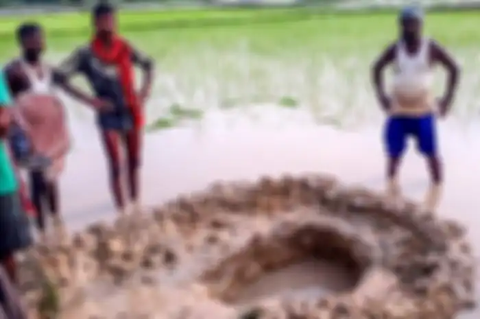 Pihak berwenang setempat mengatakan bahwa para petani melaporkan melihat "benda seperti bola api turun dari langit".