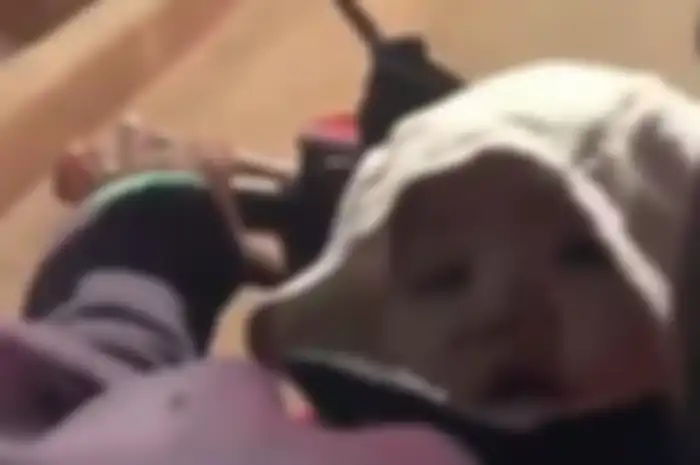 Ibu driver ojol membawa anaknya yang masih bayi dan membuat penumpangnya menangis terharu.