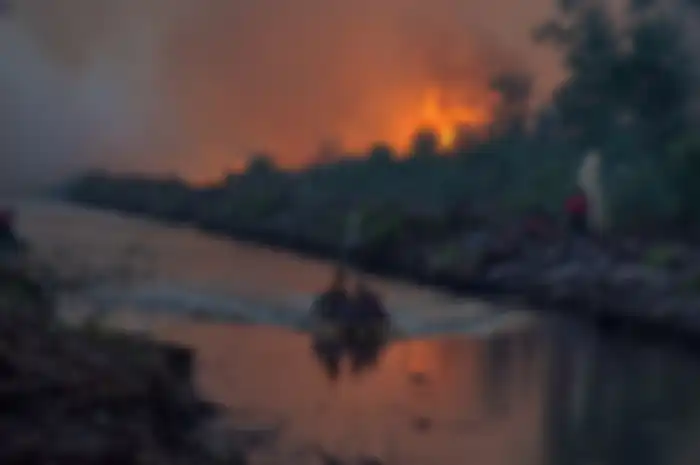 Sejumlah petugas pemadan kebakaran PT Riau Andalan Pulp and Paper (RAPP) berusaha memadamkan kebakaran lahan gambut di Desa Penarikan Kecamatan Langgam Kabupaten Pelalawan, Riau, Minggu (28/7/2019). Berdasarkan data Badan Nasional Penanggulangan Bencana (BNPB) kebakaran hutan dan lahan hingga Juli 2