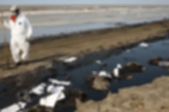 Warga mengumpulkan limbah tumpahan minyak Oil Spill yang tercecer milik Pertamina di Pesisir Pantai Cemarajaya, Karawang, Jawa Barat, Minggu (4/8/2019). Pasir yang tercemar minyak tersebut dikumpulkan dan akan dipindahkan ke pabrik penyimpanan limbah B3 (Bahan Berbahaya dan Beracun) untuk dimusnahka
