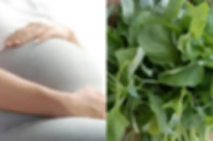 Bayam juga merupakan makanan super dan melimpah dengan banyak nutrisi, vitamin, mineral, zat besi dll yang baik untuk ibu dan bayinya.