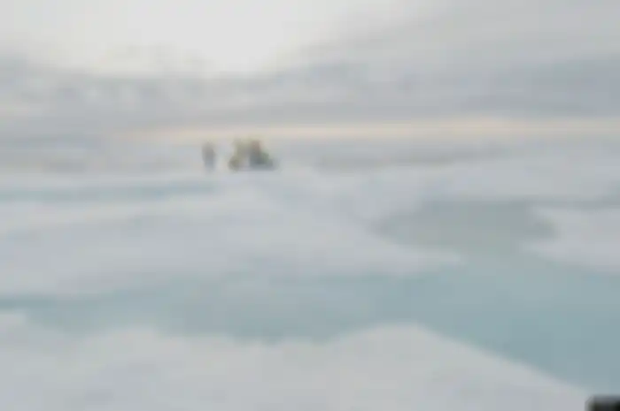Para ilmuwan yang tergabung dalam Proyek Northwest Passage pimpinan AS mengebor es di Arktika Kanada dalam ekspedisi 18 hari pada Juli dan Agustus 2019. Foto diambil dari gambar video, 14 Agustus 2019. 