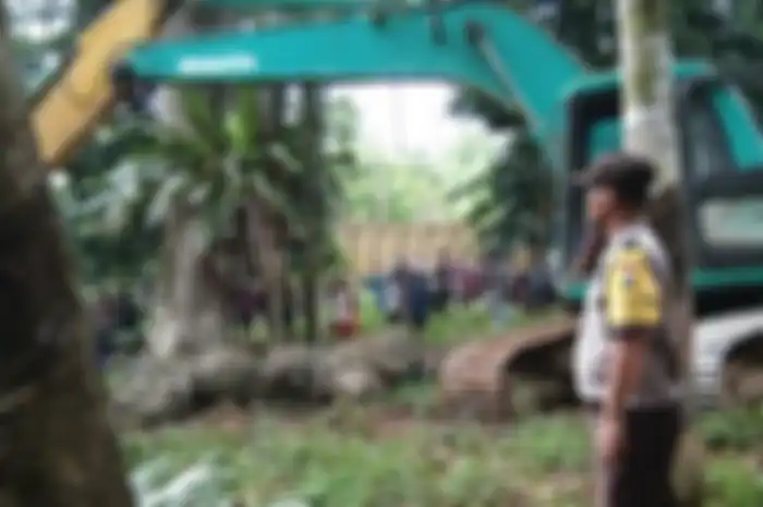 Sebanyak 19 ekor kerbau yang mati akibat disambar petir diangkat menggunakan alat berat dan dikubur dalam satu lubang di Desa Sawo Lamo yang tidak jauh dari lokasi kejadian di Desa Uratan, Andam Dewi, Tapanuli Tengah, Selasa (20/8//2019) sore. 