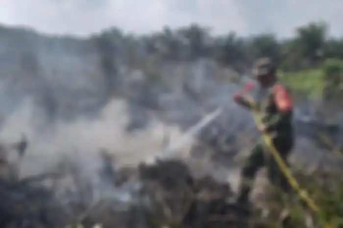 Seorang prajurit TNI memadamkan api karhutla di Desa Parit Baru, Kecamatan Tambang, Kabupaten Kampar, Riau.