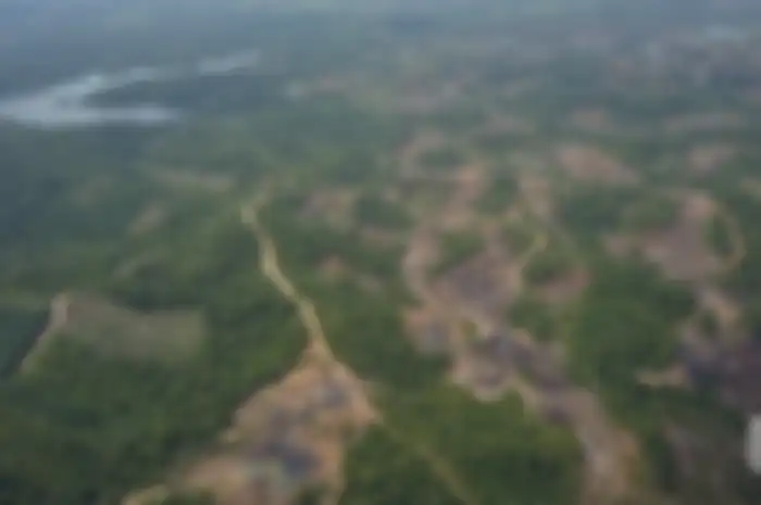 Taman Hutan Raya Bukit Soeharto terletak di Kabupaten Kutai Kartanegara dan Kabupaten Penajam Paser Utara, Kalimantan Timur.