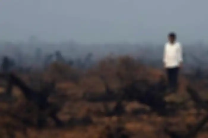 Presiden Joko Widodo berada di tengah area hutan gambut yang rusak dan hangus saat melakukan inspeksi kebakaran hutan di Banjarbaru, Kalimantan Selatan.