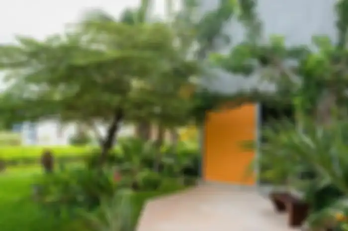 Ular Tidak Suka Wangi Parfum, Ternyata Ini Kata Ahli Agar Rumah Terhindar dari Hewan Berbisa Ini
