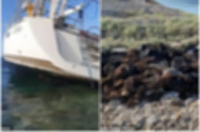 Kedua pria itu terdampar 50 mil di lepas pantai pada hari Senin setelah yacht Zero mereka menabrak karang kecil.