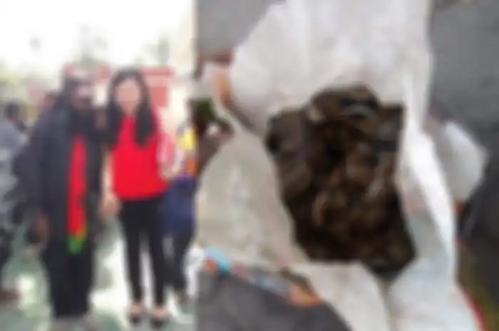 Veronica Koman bocorkan kronologi teror ular dalam karung di asrama mahasiswa Papua di Surabaya.