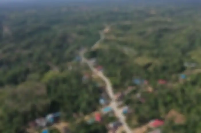 Foto aerial kawasan Kecamatan Sepaku, Penajam Paser Utara. 
