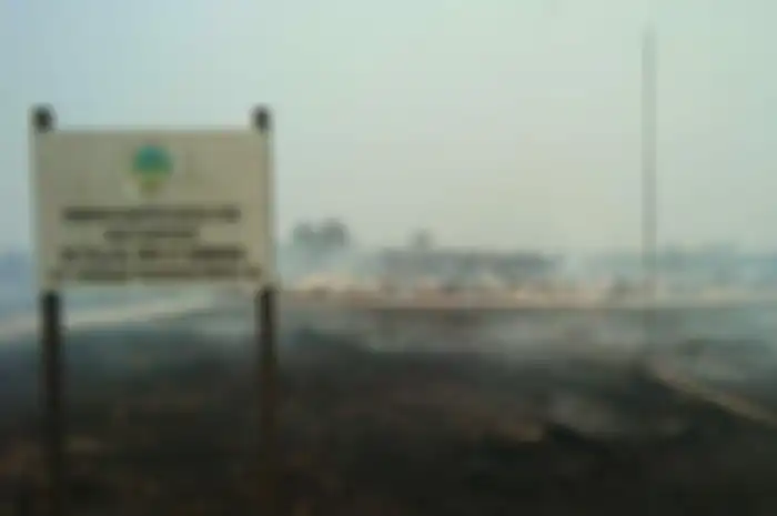  Gedung SD Negeri 07 Semanai di Kecamatan Sukadana, Kabupaten Kayong Utara, ludes dilahap api akibat Kebakaran Hutan dan Lahan (Karhutla) yang melanda wilayah itu, Sabtu (14/9/2019) 