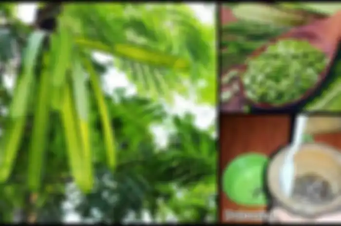 Mlanding bisa mengalahkan setiap tanda polusi dan penuaan. Daun pohon ini berfungsi sebagai toner dan memberi nutrisi serta melembabkan kulit.