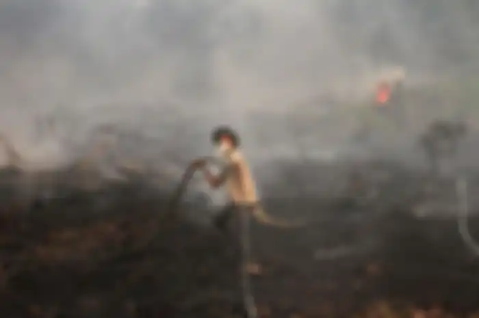 Lihatlah perjuangan para petugas demi padamkan kebakaran hutan yang sebabkan kabut asap.