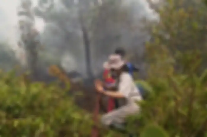 Delapan jam sehari Sumarni ikut memadamkan api ke lokasi kebakaran hutan dan lahan di Palangkaraya, Kalimantan Tengah.