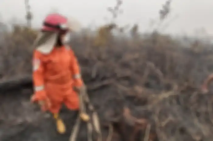 Sola Gratia Sihaloho (22) juga tak habis pikir dengan kebakaran hutan dan lahan yang terus menerus terjadi. 