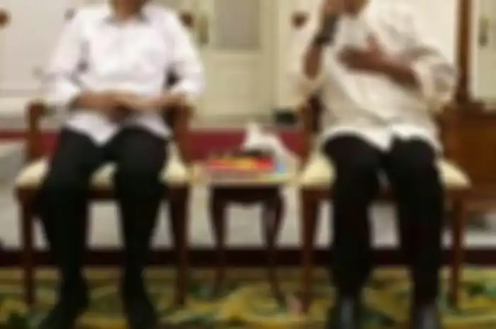 Salah satu relawan Jokowi saat mencalonkan jadi presiden 2014 dan 2019