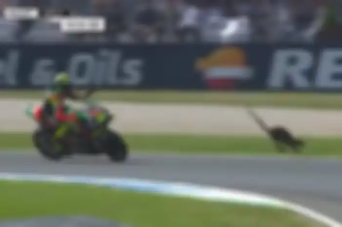 Andrea Iannone nyaris menabrak kangguru di FP2 MotoGP Australia 2019.