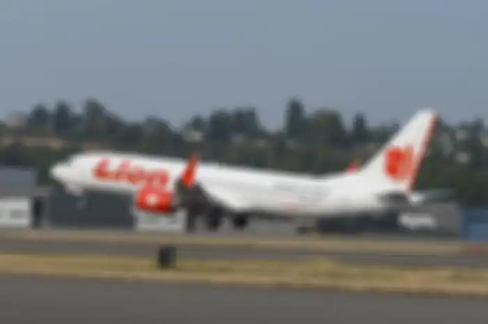 Ilustrasi Lion Air
