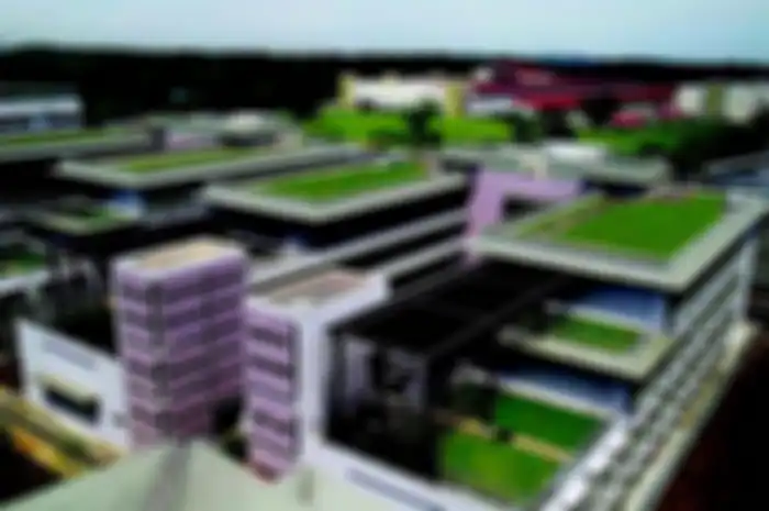 Taman atap dapat didesain sebagai ruang hijau untuk merespon iklim. 