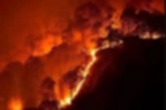 Sebuah studi terbaru menunjukkan bahwa jumlah karbon yang dilepaskan akibat hilangnya hutan tropis lebih tinggi dari perkiraan sebelumnya.