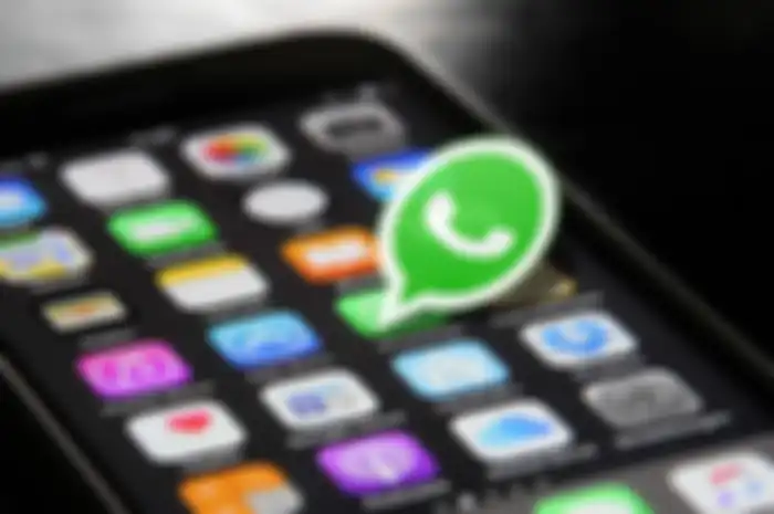 Aplikasi whatsapp