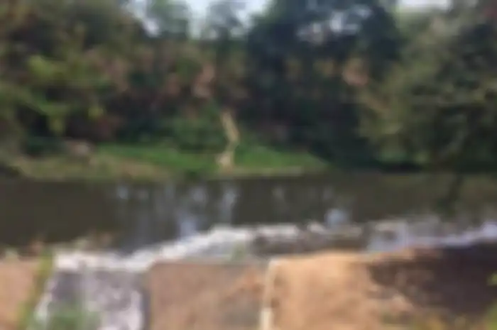 Di aliran sungai itu warna air terlihat cukup hitam pekat serta mengeluarkan bau ciu yang merupakan salah satu produk olahan alkohol.