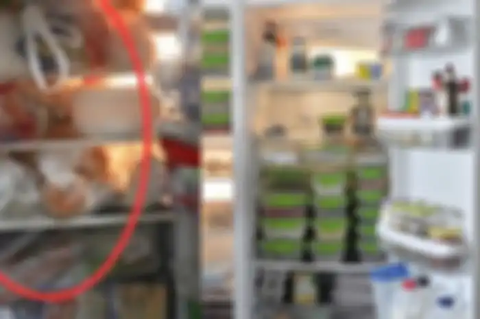 Kebiasaan Menyimpan Makanan dengan Plastik di Dalam Kulkas Ternyata Bisa Menimbun Penyakit, Coba Ganti dengan Cara ini
