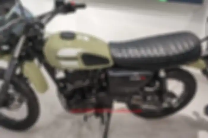 Kawasaki W175TR.