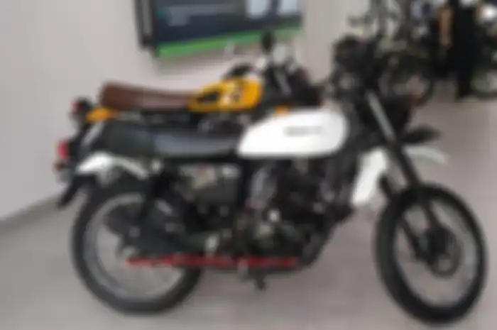 Kawasaki W175TR
