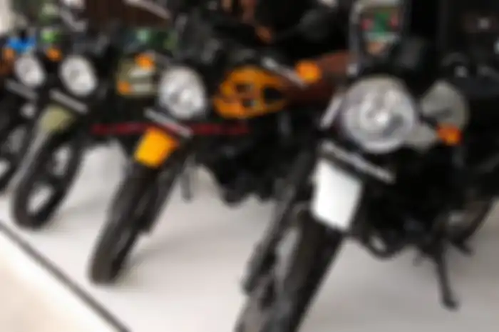 Kawasaki W175TR terbaru bisa dipesan.