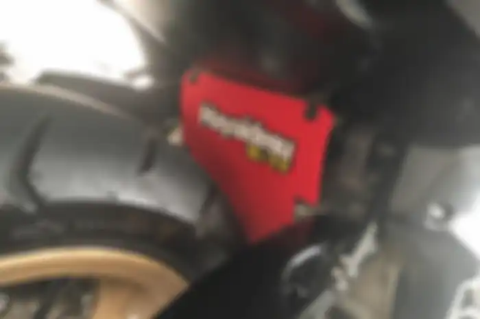 Mud flap keluaran Hayaidesu untuk Yamaha NMAX