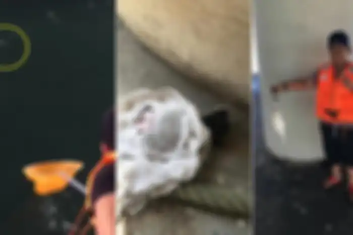 Hakim bersama keluarga menyelamatkan anak kucing yang sengaja dibunang ke sungai oleh pemiliknya.