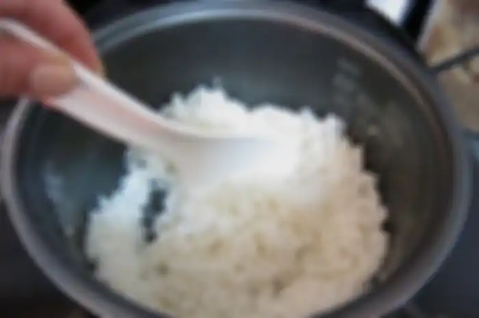 nasi rice cooker