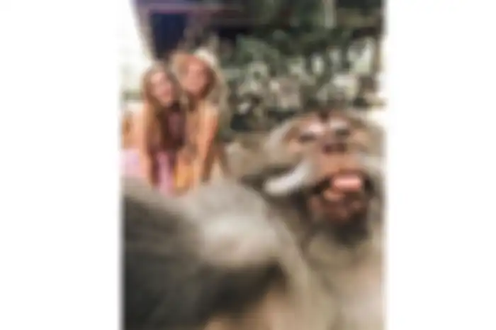 Selfie bersama monyet di Bali
