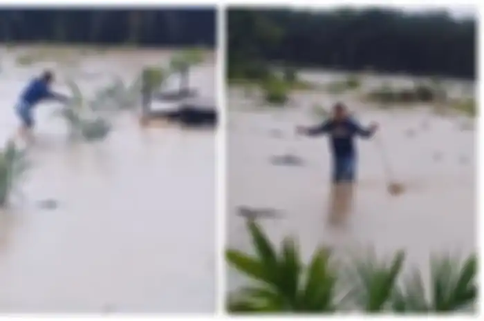 Viral Aksi Seorang Pria yang Selamatkan Seekor Anjing di Tengah Banjir