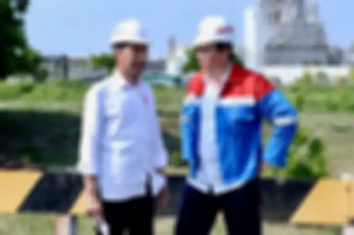 Jokowi dan Ahok
