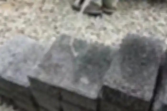 Paving block buatan TechPromLab yang mampu menyerap air.
