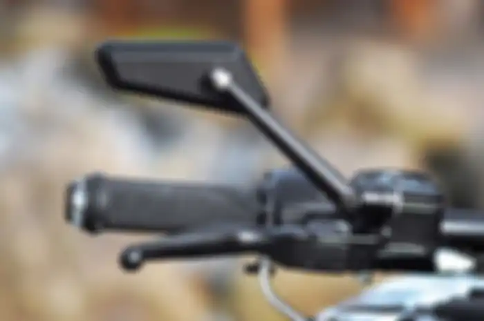 Spion Rizoma