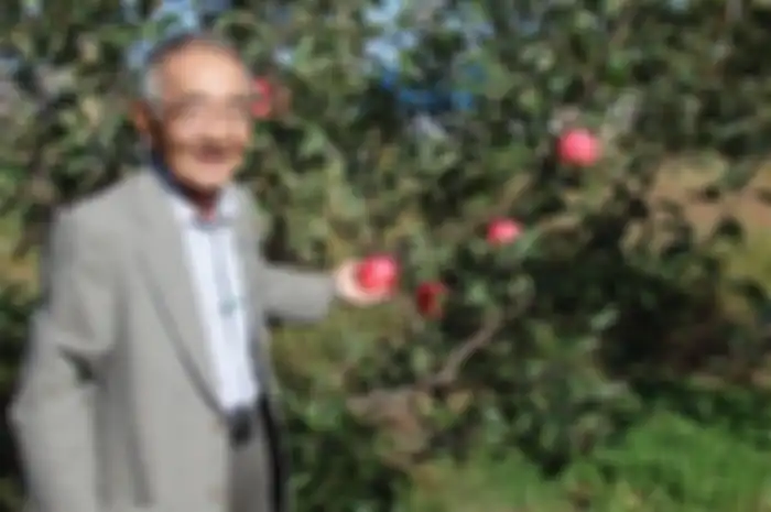 Akinori Kimura