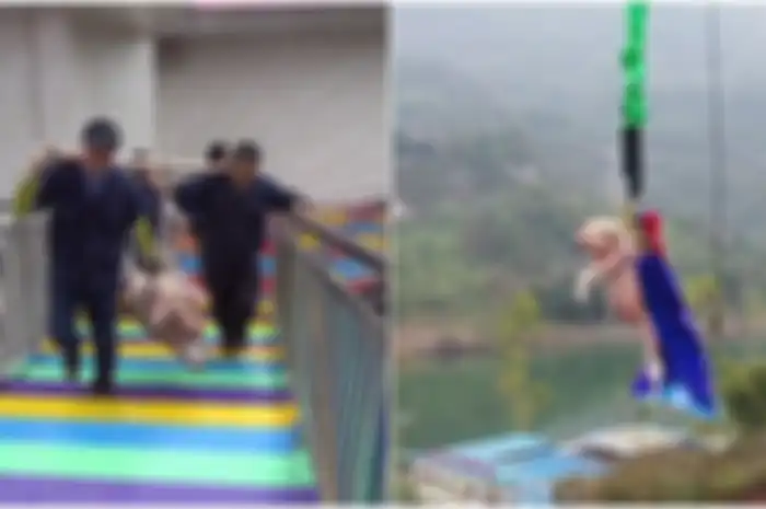 Taman Hiburan Tuai Kritikan Setelah Paksa Seekor Babi Lakukan Bungee Jumping