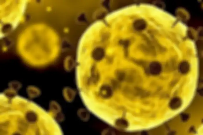 Ilustrasi virus