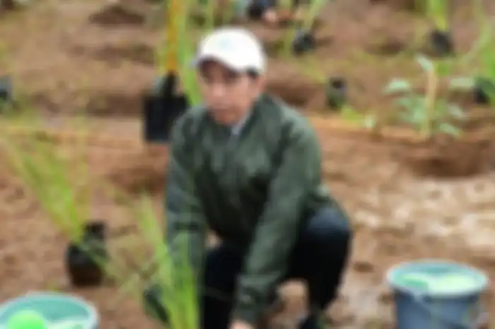 Presiden Jokowi 