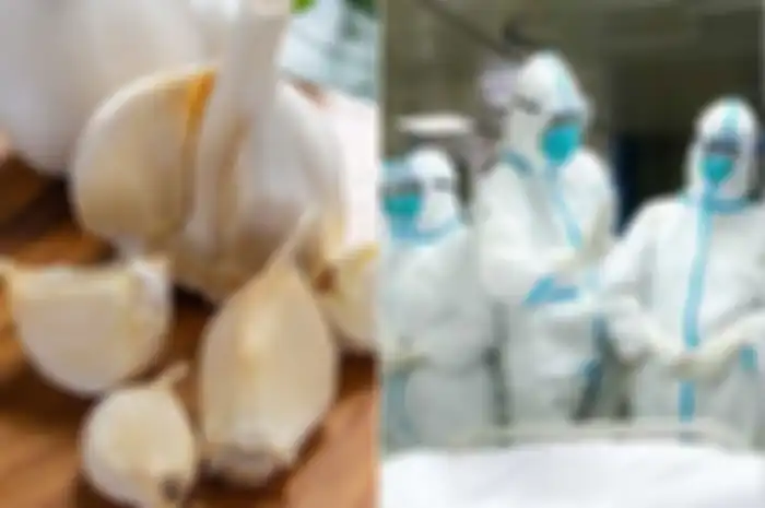 corona buat bawang putih meroket