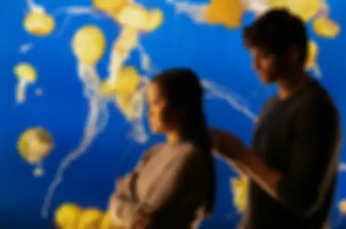 To All The Boys: P.S. I Still Love You - Lana Condor, Noah Centineo - Photo Credit: Netflix / Bettina Strauss