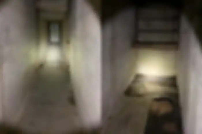 Lorong yang ditemukan di balik rumah bekas itu.