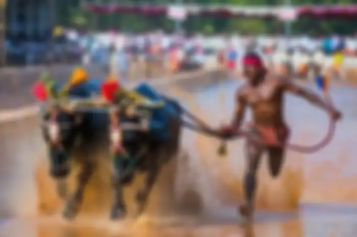 Srinivas Gowda, joki kambala